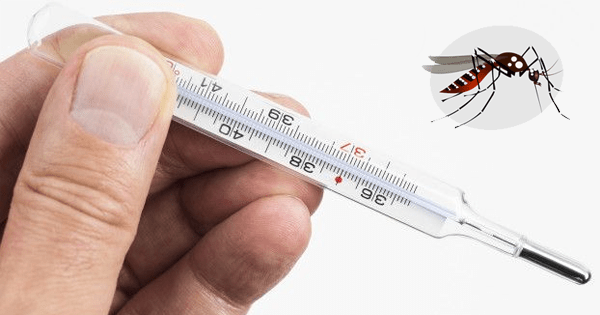 Tratamientos para el virus del zika Tratamientos para el virus del zika