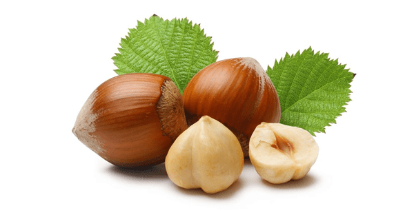 Beneficios y propiedades de las nueces de macadamia Beneficios y propiedades de las nueces de macadamia