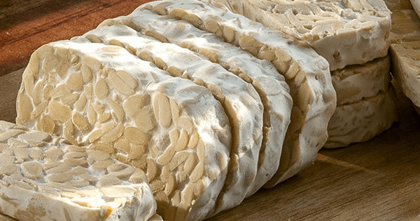 Qué es el tempeh Qué es el tempeh