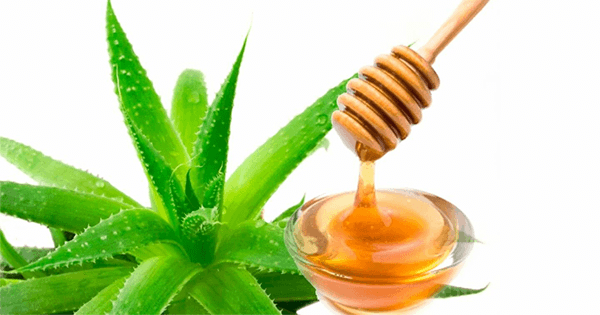 Aloe de vera para eliminar manchas del acné Aloe de vera para eliminar manchas del acné