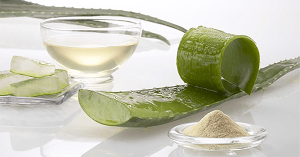 Remedios con aloe de vera para la acidez gástrica Remedios con aloe de vera para la acidez gástrica