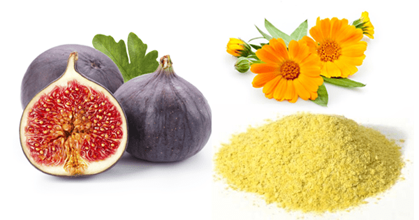 Alimentos reguladores hormonales Alimentos reguladores hormonales
