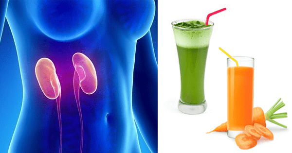 Batidos y jugos para limpiar los riñones naturalmente Batidos y jugos para limpiar los riñones naturalmente