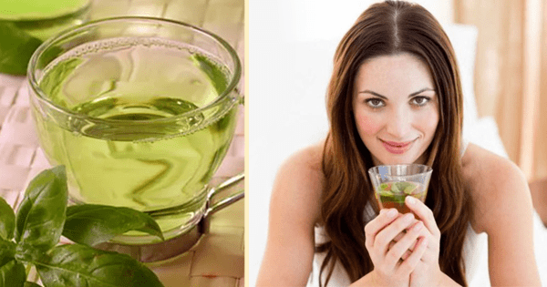 Bebidas con té verde para perder peso Bebidas con té verde para perder peso