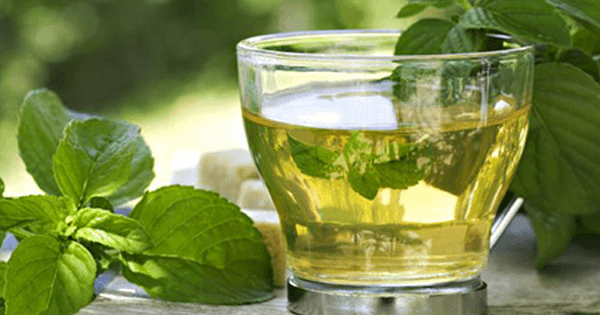 El té verde para bajar la hinchazón de tu abdomen