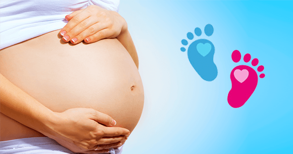Embarazo. Etapas, Síntomas, Cuidados y Desarrollo