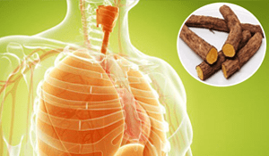 Remedios naturales para fortalecer los pulmones