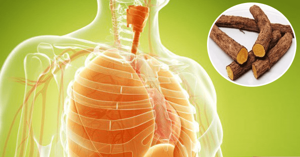 Remedios naturales para fortalecer los pulmones